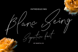 Blanc Seing: A Handwritten Touch for Modern Design