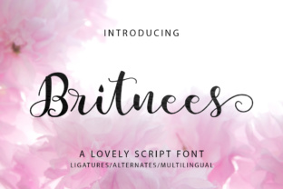 Britnees Script: A Modern, Feminine Font